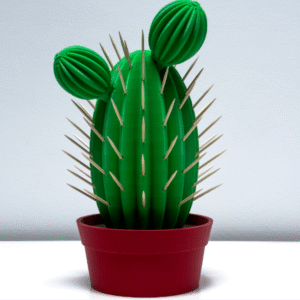 Cactus Mondadientes, salero y pimentero