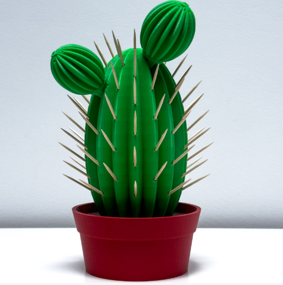 Cactus Mondadientes, salero y pimentero