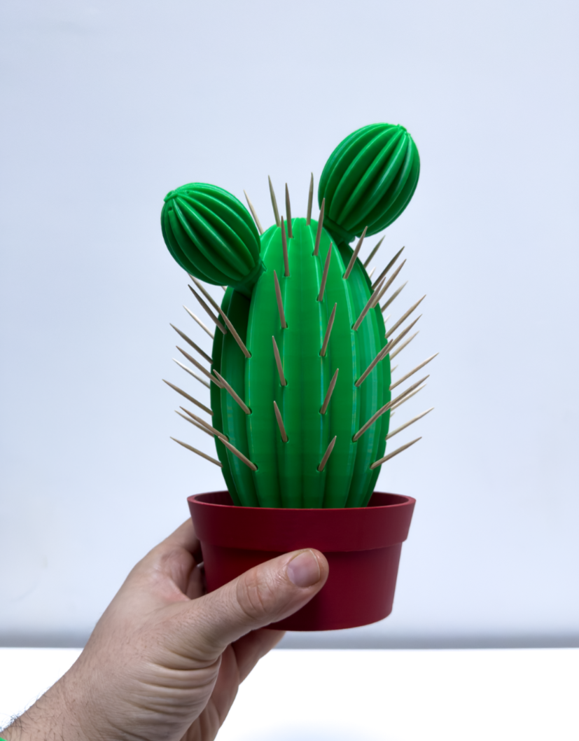 Cactus Mondadientes, salero y pimentero - Image 7