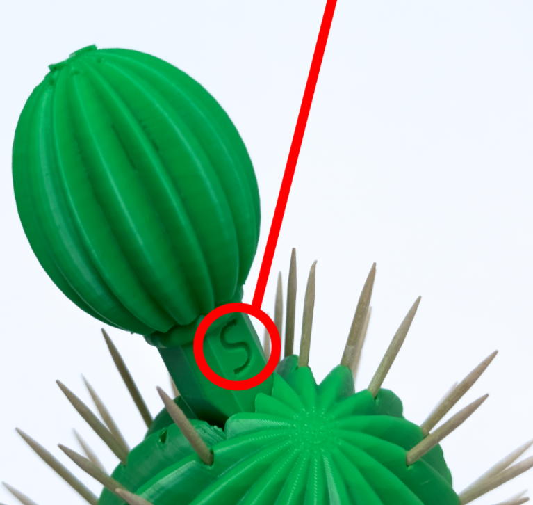 Cactus Mondadientes, salero y pimentero - Image 8